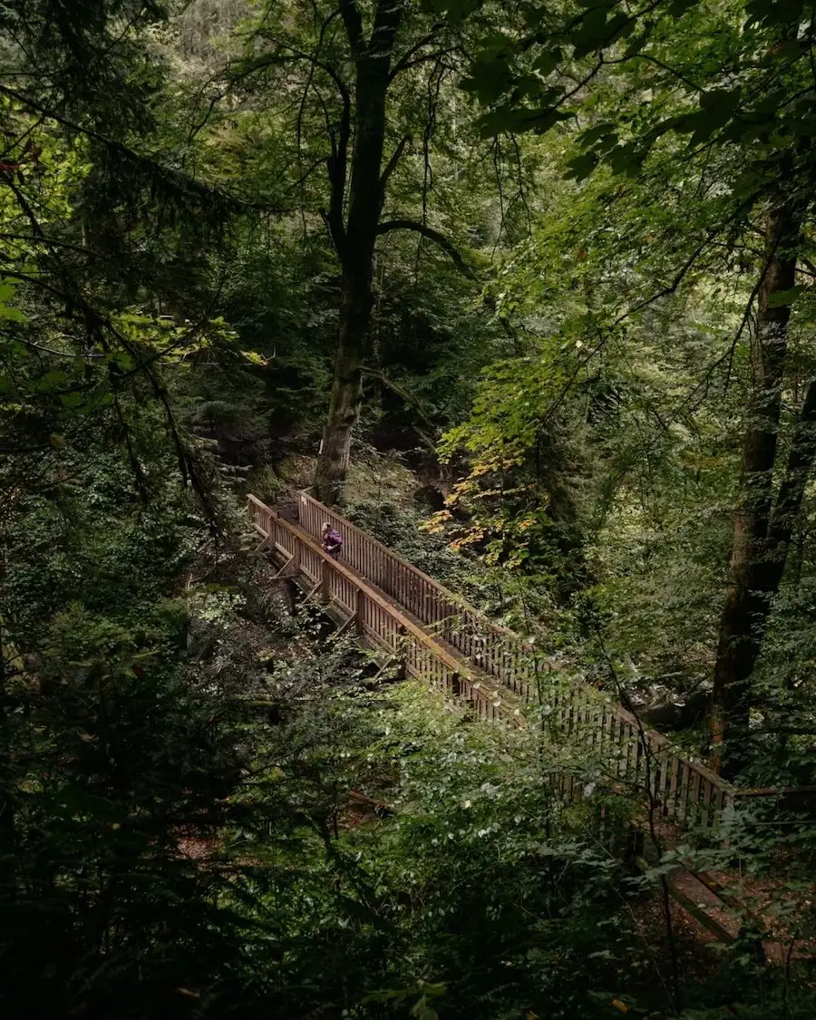 Abenteuermomente Mehrwert Post (1015 x 1350 px) Mystische Schluchten bei Bad Kreuzen