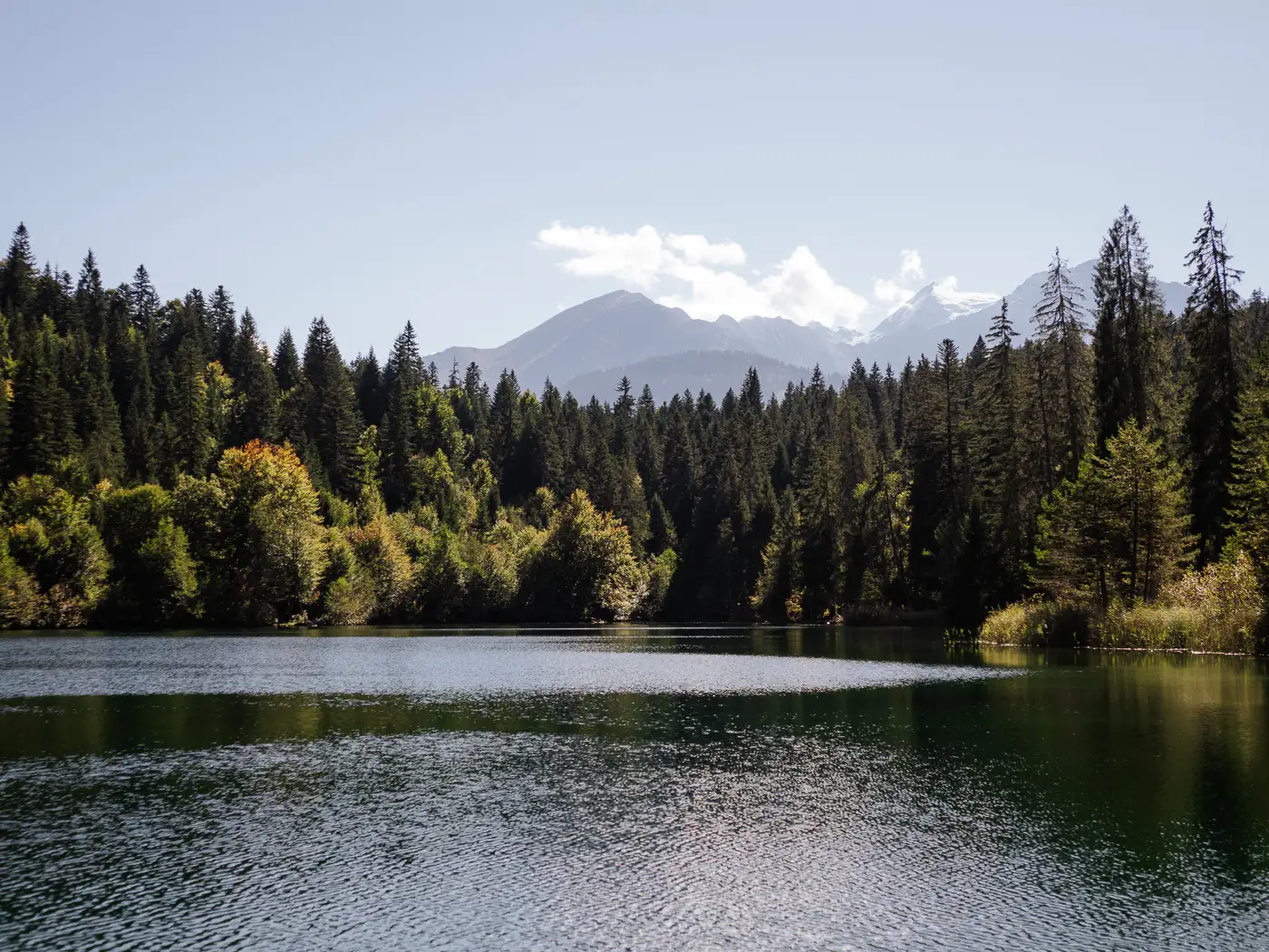 2025-09-29-Chaumasee-Cestasee-Rheinschlucht219 Cestasee mit Berge im Hintergrund