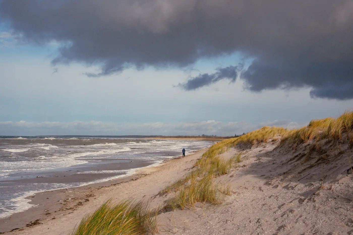 Strand von Ahrenshoop