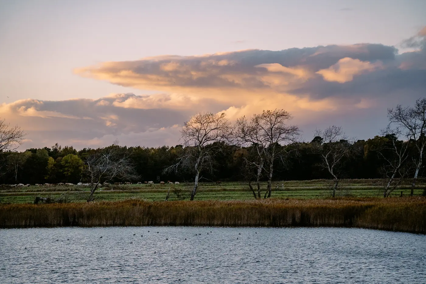 Sonnenuntergang über der Boddenlandschaft