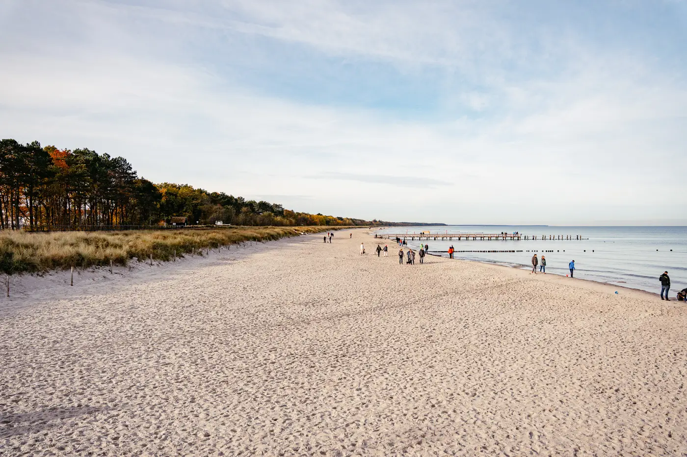 Endlos leere Sandstrände bei Zingst