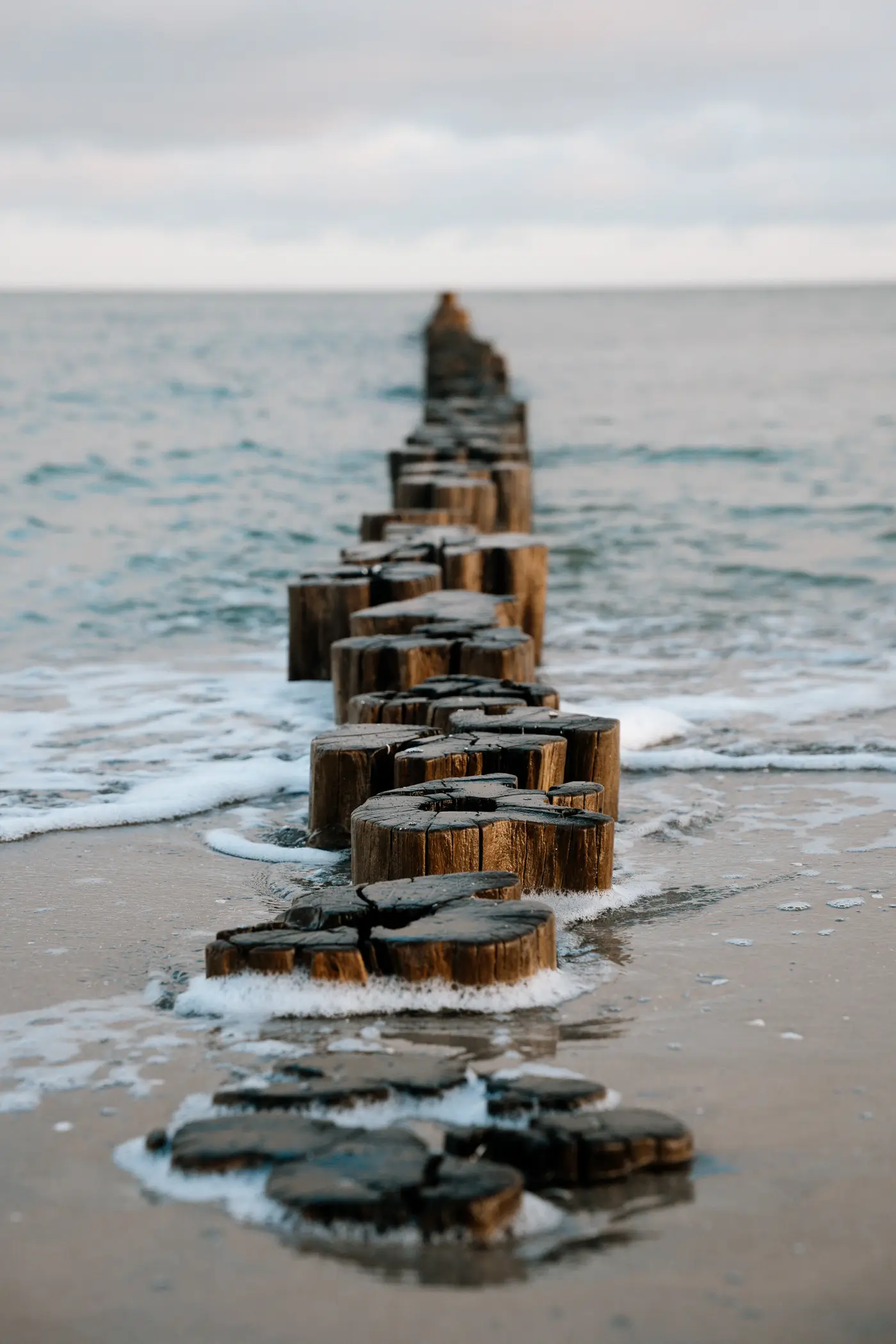 Buhnen am Zingster Strand