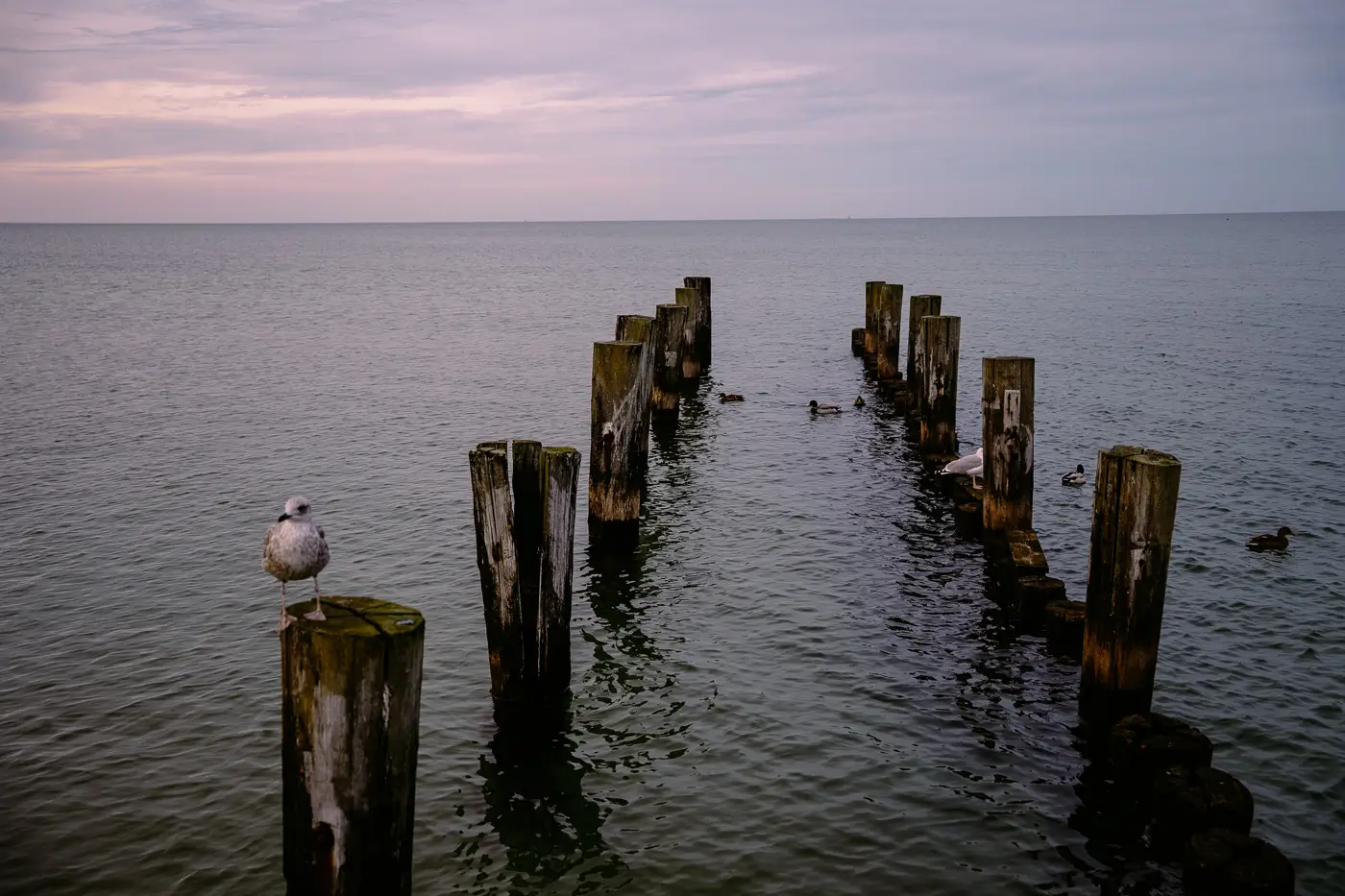 Fischersteg zum Sonnenuntergang