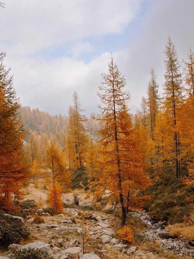 Herbstwandern in der Schweiz