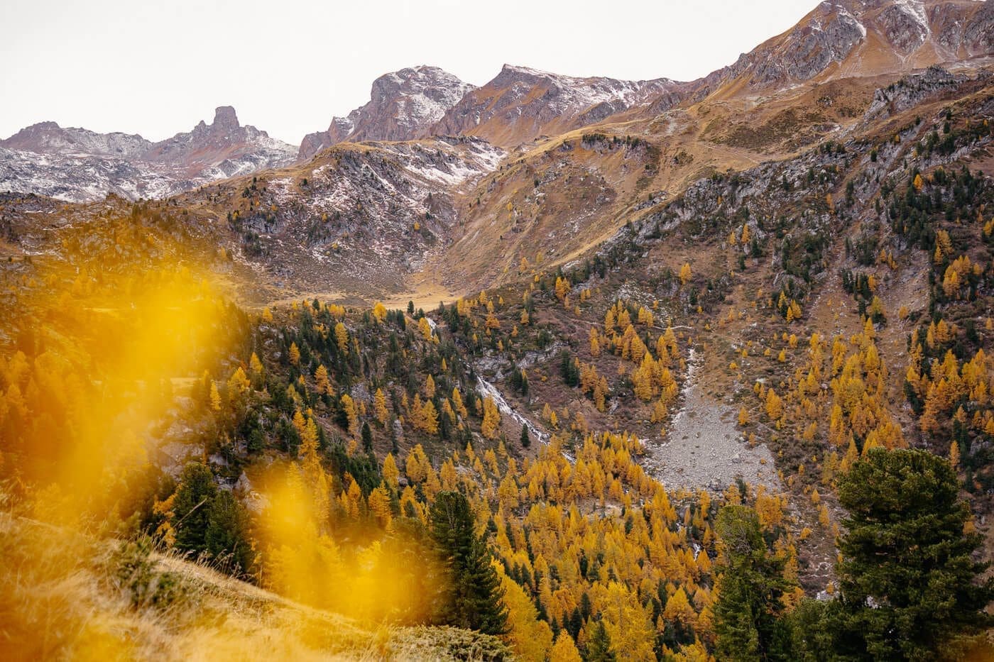 Vercorin-Vallon de Rechy Blick in Rechy Tal
