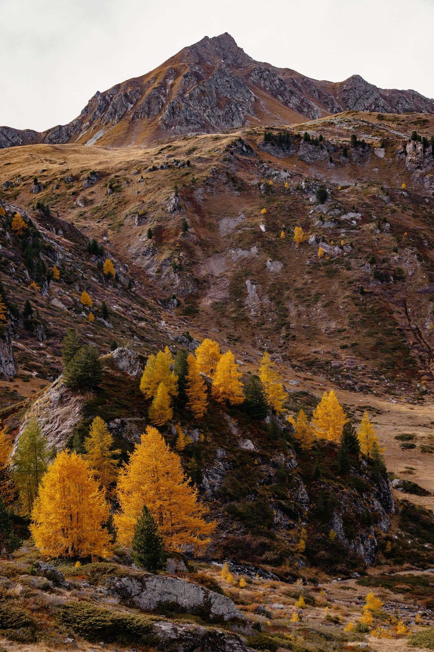 Vercorin-Vallon de Rechy Herbstlandschaft Schweiz
