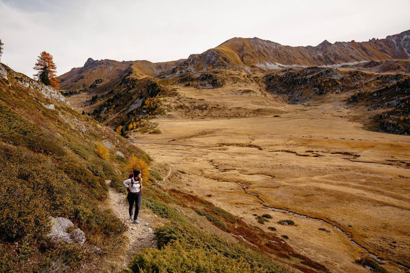 Vercorin-Lac-Louche3 Blick auf die Moorlandschaft