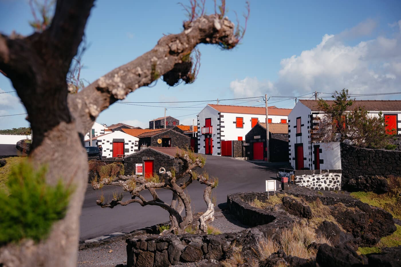 2026-Azoren-Pico-Küste7 Rote Häuser in Lajido