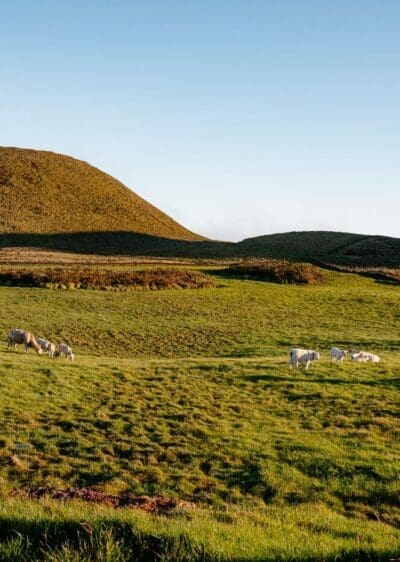 2026-Azoren-Pico-Landesinnere-14 Beeindruckende Hochebene auf der Insel Pico