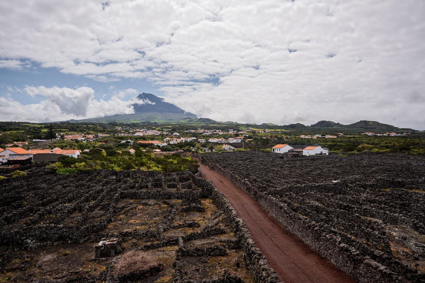 2026-Azoren-Pico-Weinwanderung3 Weinlandschaft auf Pico